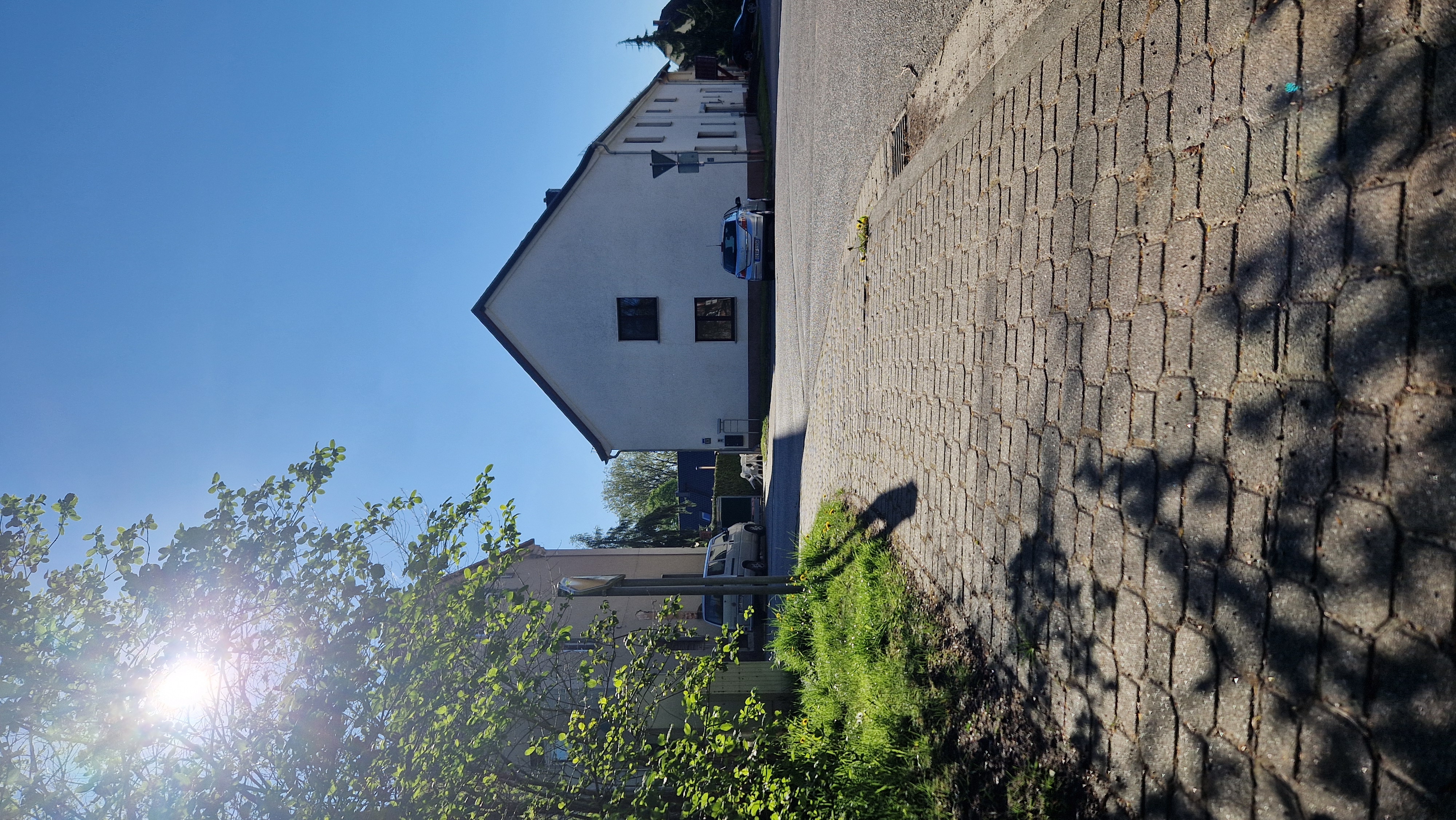 Großes Lesenest 5