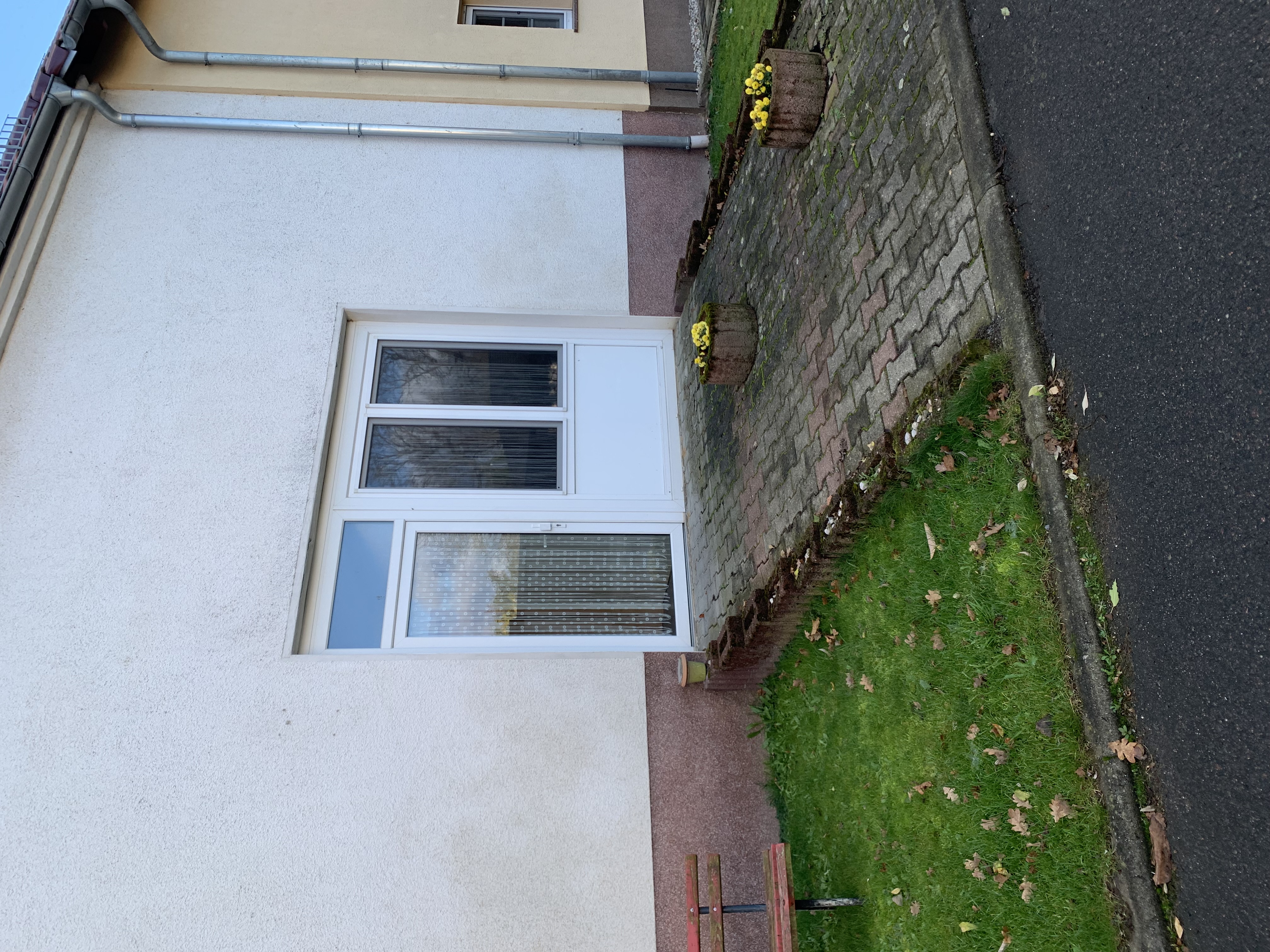 Kleines Lesenest 3