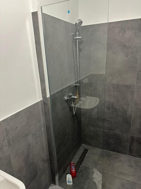 Alzey 7 Personen 3 Schlafzimmer Balkon zentrale Lage 5